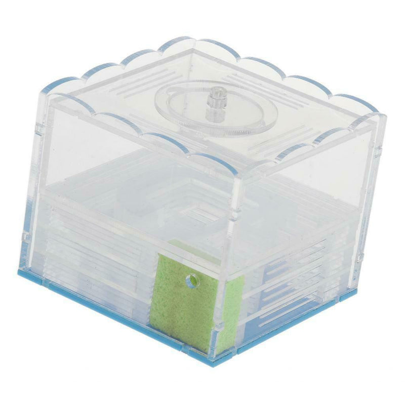Clear Ant Feeding Nursery Box Ant Farm House Castle Insect Terrarium  L