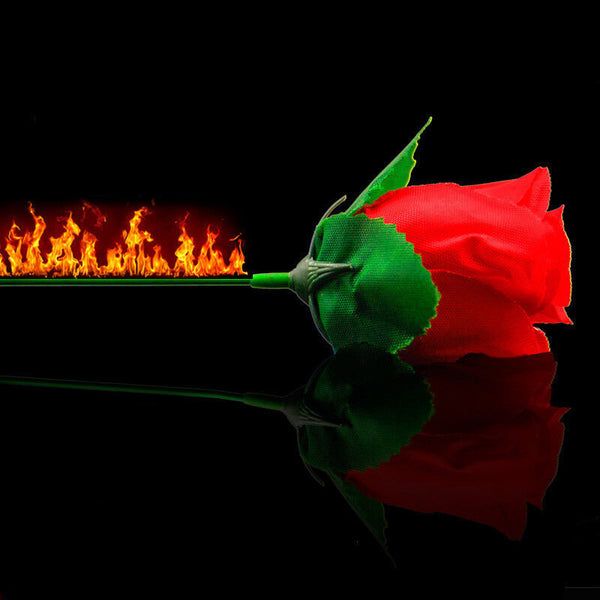 Magic Trick Stage Close Up Torch Rose to Fire Trick Flame Appear Flower New F5X0