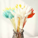 30 X Natural Rabbit Bunny Tail Grass Bouquets Wedding Dried Flowers 35-40cm