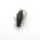 10pcs/Bag Cricket Fishing Lures Black Soft Insect Artificial Bait M&E