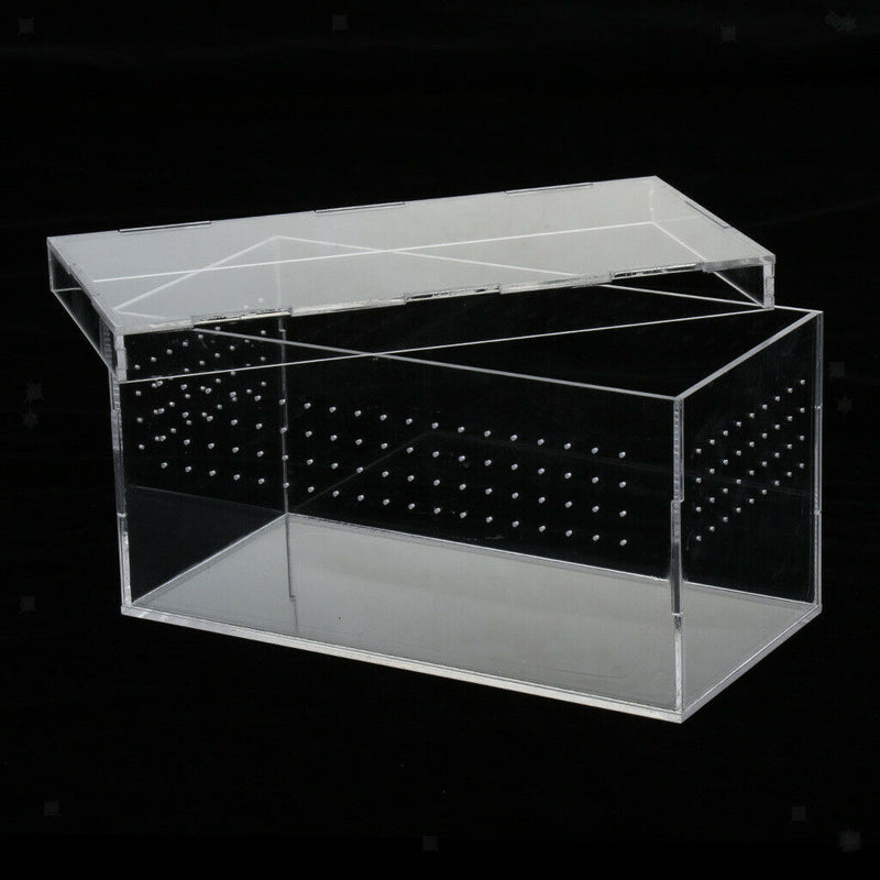 Good Ventilation - Acrylic Reptiles Terrarium Container Amphibians Lizards live