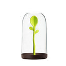 1X Jar Salt Shaker Spices Tea Leaves Coffee Sugar Storage Container with Spoon