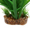 Set of 2, Plastic Terrarium Bamboo Leaf & Succulent Plant Animals Habitat for