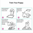 5pcs Puppy Pet Dog Cat Toilet Pee Training Pads Absorbent Diapers 60*60 HQO