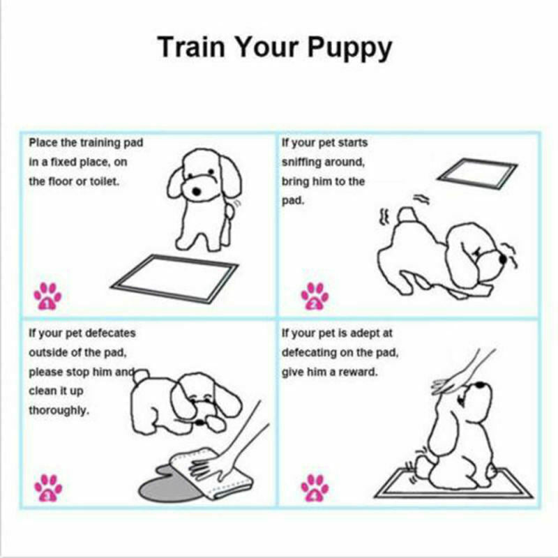 5pcs Puppy Pet Dog Cat Toilet Pee Training Pads Absorbent Diapers 60*60 HQO