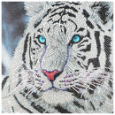 Tiger 5D DIY Special Shape Part Drill Diamond Painting Needlework Set Craft