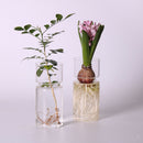 Desktop Glass Planter for Hydroponics Plants Home Garden Wedding Decor