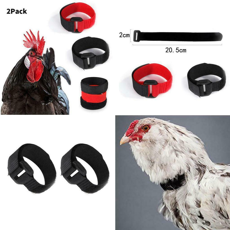 14pcs Rooster Collar Anti Crow Prevent Chicken from Screaming for Duck Black