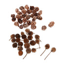 80 Mini Dried Flowers Plant Fruits Christmas Accents Wedding Decor Ornaments