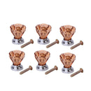 6Pcs Mini Amber Acrylic Knob Cabinet Drawer Dresser Jewelry box Handle Pull