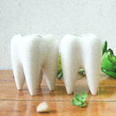 Tooth Shape White Ceramic Flower Pot Modern Design Decor Teeth Desktops Pla J7A6