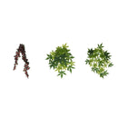 3 Pcs Reptiles Vine Green Jungle Climber Vines Terrarium Habitat Ornament