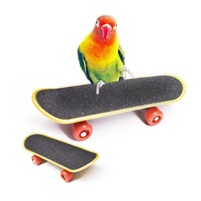Pet Intelligence Foot PLUS Toys Training Skateboard Bird Perch Supplies Sta U6C8