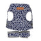 Japanese Style Pet Dog Harness Vest Outdoor Walking Leash Set (Blue S) A