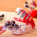 Fruit Cherry Cherries Seed Removing Tool Fruit Stone Extractor Remove BonesB Kw