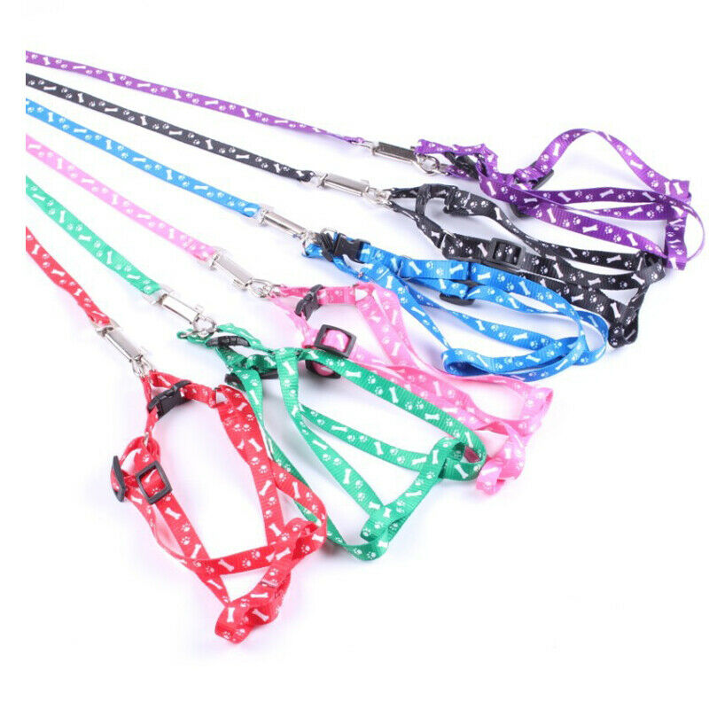 Pet Dog Puppy Cat Kitty Nylon Harness Leash Lead Embroidery O4D8