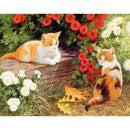 DIY Flower Cats Oil Painting By Numbers Kit Canvas Digital Wall Art Picture