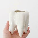 Tooth Shape White Ceramic Flower Pot Modern Design Decor Teeth Desktops Pla J7A6