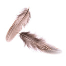 50pcs/set pheasant feathers 5-10cm chicken plumes for carnival diy craft de3cr