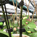 20pcs Plant Support Clips Garden Clips Flower Orchid Stem Clips Vine Support Ew