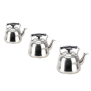 Stainless Steel Whistling Tea Kettle Teakettle Fast Boil Teapot wIth Infuser 3L