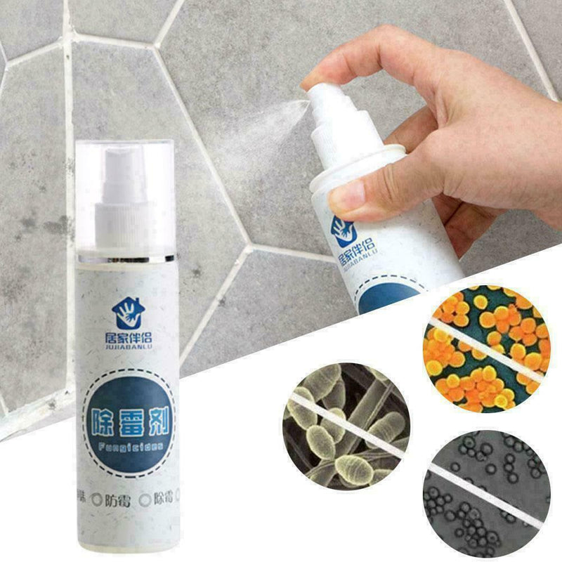 Root Out Schimmelentferner Spray Rapid Mold Remove Spray L1C7 Wandrei S2J9