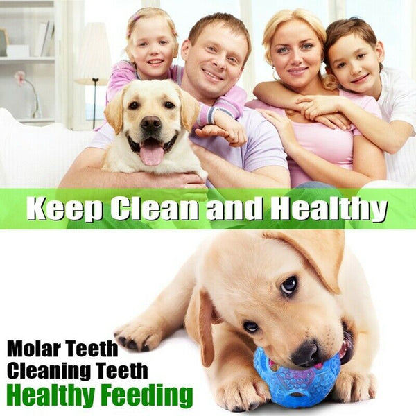 Interactive Dog Toys, Dog Chew Toys Ball for Small Medium Dogs, Iq Treat Bo A3L4