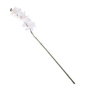 Artificial Floral 12 Head Orchid Phalaenopsis Flower Home Garden Decoration