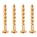 4Pcs Guiter Golden Neck Plate Screws Replacement Parts Golden For  ST