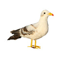 Artificial Xmas Feather Birds Seagull Tree Decorations Craft Ornaments