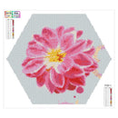 5D DIY Full Drill Diamond Painting Flower Hexagon Cross Stitch Embroidery(1