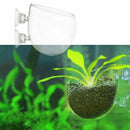 New Crystal Glass Live Plant Cup Red Shrimp Aquarium Holder FishTank G6V8
