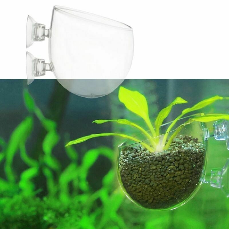 New Crystal Glass Live Plant Cup Red Shrimp Aquarium Holder FishTank G6V8