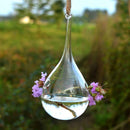 Water Drop Hanging Glass Flowers Planter Vase Terrarium Container Home Decor