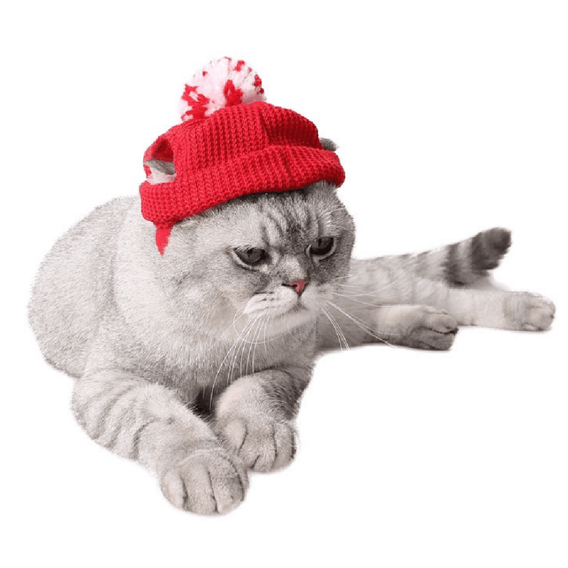 Pet Cat Dog Hat Costume Hat For Cat Pets Christmas Dress Up