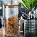 Glass Storage Jar, with Airtight Seal Bamboo Lid, 7.9 x 3.94 in ,Set of 2, 1J7A4