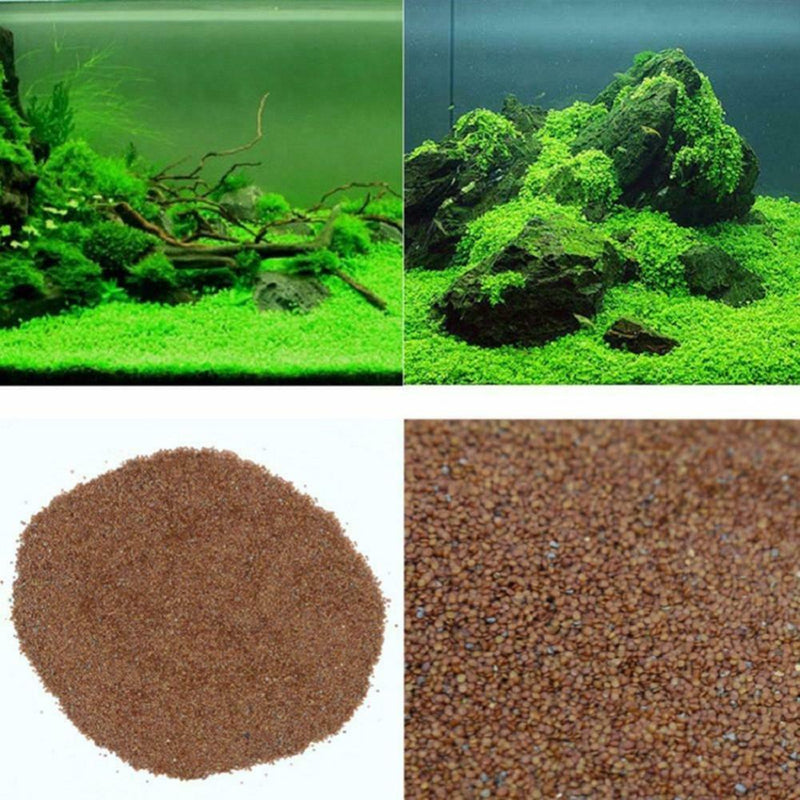 1000X Fish Aquarium Grass Seeds(Mixed)Water Aquatic Plant Home Fish Tank Supply