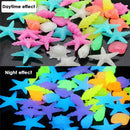 10pcs Luminous Stone Shells Star Aquarium Fish Tank new Plastic Decor DIY S R2I3
