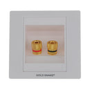 Home Theater Speaker 2 Binding Post Sound Audio Wall Face Plate Female