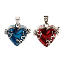 2Pcs Heart Keepsake Urn Pendant Cremation Charms for Ashes Human Pet Waterproof