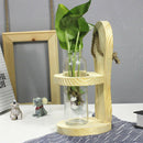 Hydroponic Plants Transparent Glass Vase Hanging Planter w/ Wooden Stand