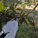 Lightweight Pear Peach Orchard Collector Garden Tool Steel Fruit Picker With Bag
