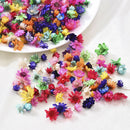 200Pcs Natural Dried Flower Head Daisy Glass Cover Nail Art Epoxy DIY Hand Craft