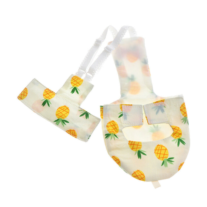 Harness Leash with Adjustable and Bite Resistant Design and Cockatiel Parrot