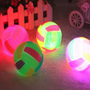 LED Volleyball Flashing Light Up Color Changing Bouncing Hedgehog Ball Dog Toys