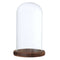 Glass Landscape Flower LED Light Ornament Cover Dome Display Stand _Brown D