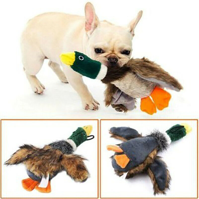 Realistic Pet Puppy Dog Chew Squeaker Squeaky Sound Wild Duck Plush Fu TQJ