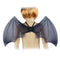Kid Child Glitter Black Bat   Halloween Angel Fancy Dress Accessory