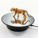 USB/Battery 360 Rotating Jewelry Display Turntable Stand Velvet /Mirror Top