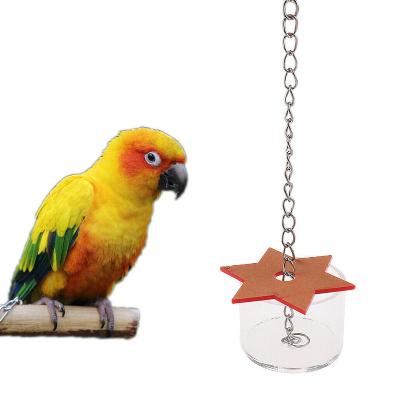 Parrot Bird Hex Star Acrylic Foraging Feeder Food Box Cage Toys for Treats